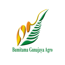 Read more about the article PT Bumitama Gunajaya Agro