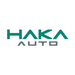 Read more about the article BYD Haka Auto