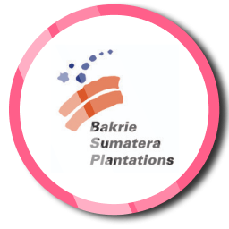 Read more about the article PT Bakrie Sumatera Plantations Tbk