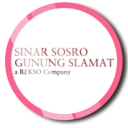 Read more about the article PT Sinar Sosro Gunung Slamat