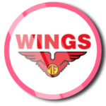 logo PT. Sriwijaya Distribusindo Raya (Wings Group)