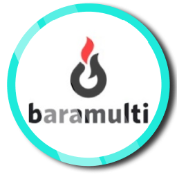 Read more about the article Baramulti Group