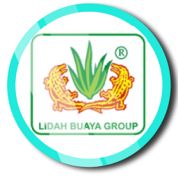 Read more about the article Lidah Buaya Group Company
