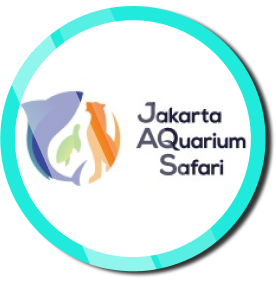 Read more about the article Jakarta Aquarium & Safari