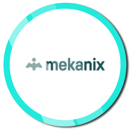 Read more about the article Mekanix (PT Service Xcellence Indonesia)